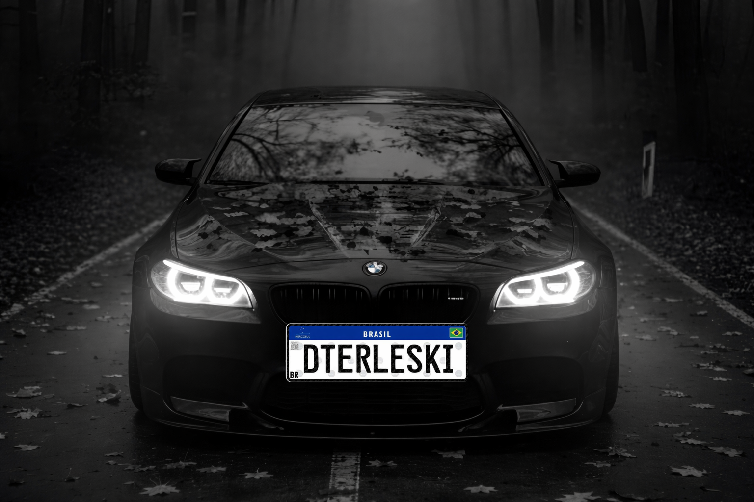 Dterleski Placas